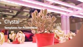  Presentation with agriculture technology - Slides enhanced with light indoor farm agriculture technology background and a coral colored foreground
