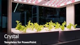  Presentation with hydroponic farm - Colorful PPT theme enhanced with light indoor farm agriculture technology backdrop and a dark gray colored foreground