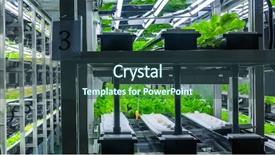  Presentation with system engineering - Presentation theme with environmental water engineering - plants are cultivated in hydroponic background and a tawny brown colored foreground