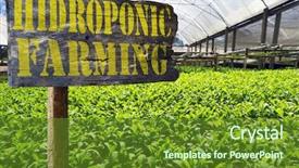  Presentation with hydroponic farm - Cool new PPT theme with signpost of hydroponic farm backdrop and a tawny brown colored foreground