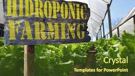  Presentation with hydroponic farm - Amazing PPT theme having signpost of hydroponic farm backdrop and a tawny brown colored foreground