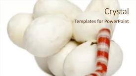  Presentation with white milk - Slides with hypomelanistic milk snake or milksnake background and a  colored foreground