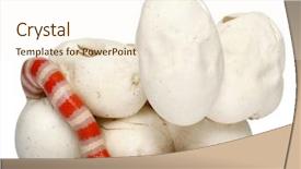  Presentation with white milk - Theme featuring hypomelanistic milk snake or milksnake background and a  colored foreground