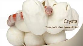  Presentation with carabao milk - Slides consisting of hypomelanistic milk snake or milksnake background and a  colored foreground