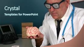  Presentation with human brain - PPT theme having hypothalamus - doctor examines a human brain background and a ocean colored foreground