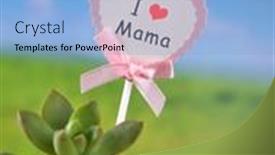 Presentation with pot succulent - PPT theme having i-love-you-mama-tag background and a light blue colored foreground