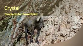  Presentation with biking in mountains - Presentation design with ibex closeup in the mountain background and a  colored foreground