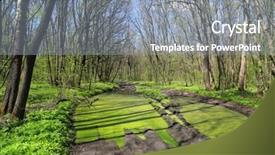  Presentation with forest road green - PPT theme enhanced with ibs - green puddle on rut forest background and a light blue colored foreground