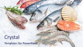  Presentation with seafood - Amazing slide set having marine aquaculture - seafood on ice backdrop and a sky blue colored foreground