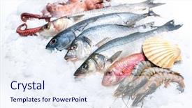  Presentation with seafood - Slide set with ice at the fish background and a sky blue colored foreground