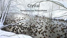  Presentation with river forest - Amazing theme having ice bath - forest river covered with snow backdrop and a sky blue colored foreground