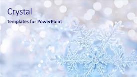  Presentation with silver abstract - Beautiful PPT theme featuring blurry backdrop stylish christmas tree backdrop and a sky blue colored foreground