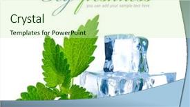  Presentation with cube - Audience pleasing PPT layouts consisting of ice cube with leaf backdrop and a soft green colored foreground