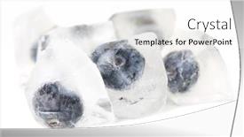  Presentation with blueberry - PPT theme consisting of ice-cubes-with-blueberry-isolated background and a white colored foreground