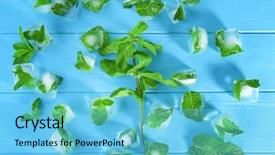  Presentation with ice frozen - Theme with ice cubes with frozen mint background and a light blue colored foreground