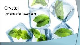  Presentation with chemistry leaves green leaf - Theme consisting of elegant happy businessman drawing a television around his face dreaming about becoming a famous actor or a programme presenter concept background and a gray colored foreground.