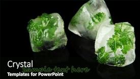  Presentation with ice - Presentation theme featuring ice-cubes-with-parsley-leaves background and a black colored foreground
