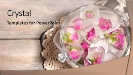  Presentation with ice - Amazing PPT theme having small piece of cut wood logs used for wood texture background backdrop and a coral colored foreground