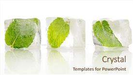  Presentation with frozen - PPT theme featuring ice mint - frozen leaves background and a cream colored foreground