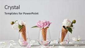  Presentation with mothers day - Audience pleasing slide set consisting of ice plant - blooming white and pink pions backdrop and a light gray colored foreground