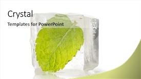  Presentation with drugs medical cannabis leaf - Audience pleasing presentation theme consisting of ice plant - frozen leaf backdrop and a white colored foreground
