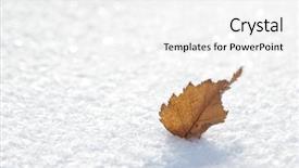  Presentation with winter ice - Amazing slide deck having ice sheet - winter backdrop and a white colored foreground