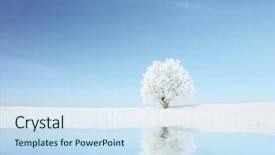  Presentation with ice frozen - PPT layouts with ice storm - alone frozen tree with reflection background and a sky blue colored foreground