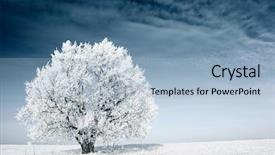  Presentation with ice frozen - Theme having ice storm - alone frozen tree background and a light blue colored foreground