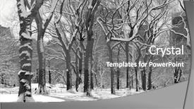 Presentation with winter storm - Cool new presentation theme with ice storm - winter snow in central park backdrop and a gray colored foreground