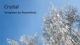  Presentation with winter ice - Cool new presentation with ice winter birch woods under blue sky backdrop and a light blue colored foreground