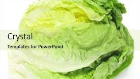  Presentation with lettuce - Amazing slide deck having iceberg lettuce on a white backdrop and a yellow colored foreground