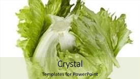  Presentation with iceberg - Amazing PPT theme having iceberg lettuce salad isolated backdrop and a yellow colored foreground