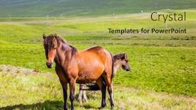  Presentation with tundra - PPT theme with iceland-journey-of-dreams-fabulously background and a yellow colored foreground