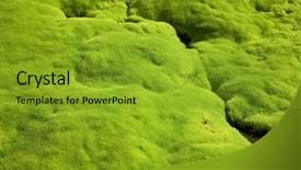  Presentation with beautiful green - Amazing slides having iceland nature - mountain spring flowing through beautiful backdrop and a gold colored foreground