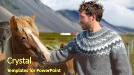  Presentation with horse riding - Beautiful presentation design featuring icelandic horses - man petting horse backdrop and a tawny brown colored foreground