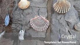  Presentation with seashell - 
