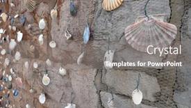  Presentation with seashell - 