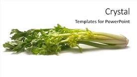  Presentation with celery - Slide deck consisting of icon set - celery on white background and a  colored foreground