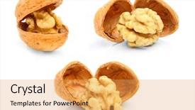 Presentation with different - PPT theme featuring icon set - collection of the walnuts juglans background and a yellow colored foreground