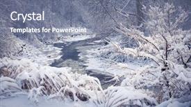  Presentation with forest winter - Colorful theme enhanced with winter landscape of snow covered backdrop and a light gray colored foreground