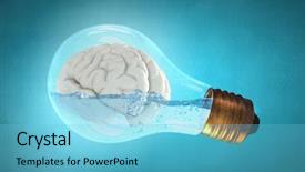  Presentation with bulb brain - Amazing presentation theme having idea concept with brain inside backdrop and a  colored foreground