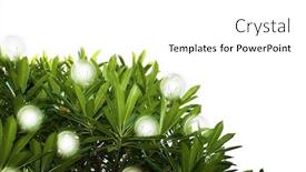  Presentation with alternative energy idea light bulb - Colorful presentation theme enhanced with idea-light-bulb-alternative-energy backdrop and a white colored foreground