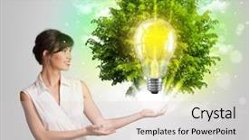  Presentation with light green - Audience pleasing presentation consisting of idea light bulb with green backdrop and a lemonade colored foreground