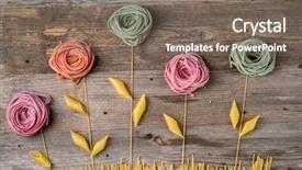  Presentation with pasta - Slide set consisting of ideas selection - flowers composition made background and a gray colored foreground
