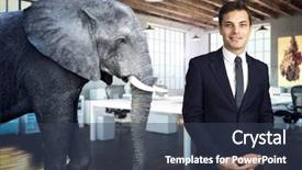  Presentation with elephant - PPT theme consisting of idiom - elephant in modern industrial office background and a tawny brown colored foreground