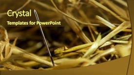  Presentation with needle - PPT theme enhanced with idiom - needle in a bundle background and a tawny brown colored foreground