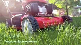  Presentation with pollinators - Theme featuring idle-lawnmower-letting-grass-grow background and a tawny brown colored foreground