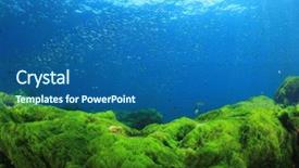  Presentation with tuna fish underwater in ocean - Slides with idol - underwater fish and ocean background and a ocean colored foreground