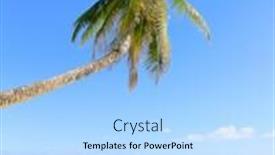  Presentation with coconut - Audience pleasing slides consisting of idyllic-coast-coconut-getaway backdrop and a light blue colored foreground