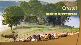  Presentation with transylvania - Cool new PPT theme with idyllic landscape with sheep farm backdrop and a tawny brown colored foreground